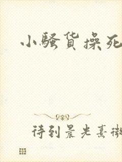 小骚货操死我了