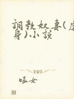 调教奴妻(虐女身)小说封面