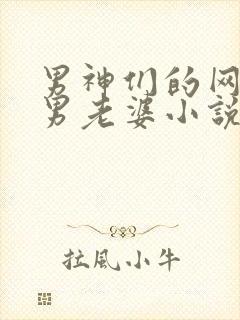 男神们的网凰直男老婆小说免费阅读