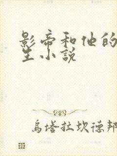 影帝和他的傅先生小说