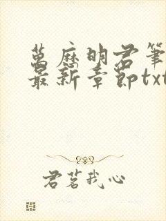 万历明君笔趣阁最新章节txt封面