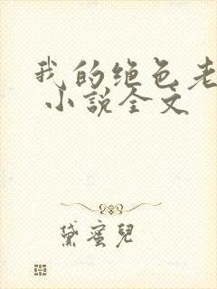 我的绝色老板娘 小说全文封面