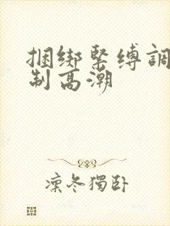 捆绑紧缚调教强制高潮封面