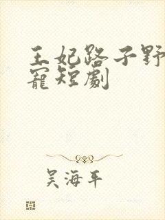 王妃路子野,得宠短剧