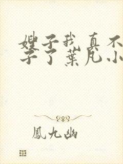 嫂子我真不是傻子了叶凡小说离线下载