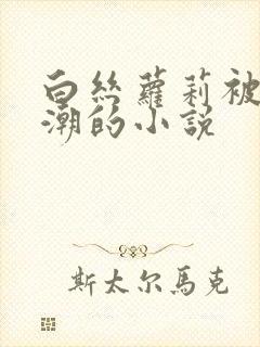 白丝萝莉被c高潮的小说