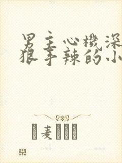 男主心机深沉心狠手辣的小说封面