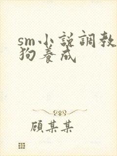 sm小说调教母狗养成