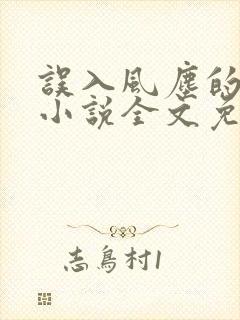 误入风尘的爱情小说全文免费阅读封面