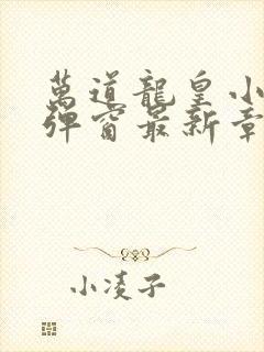 万道龙皇小说无弹窗最新章节