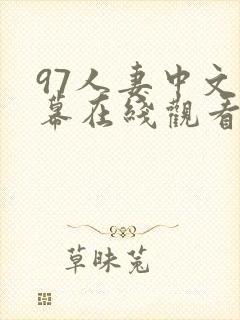 97人妻中文字幕在线观看