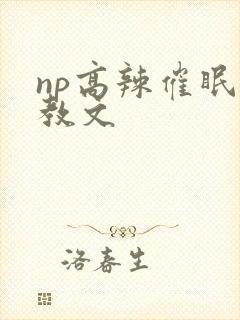 np高辣催眠调教文