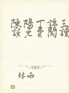 陈阳丁锦玉的小说免费阅读全文