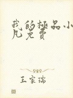 我的极品小姨叶凡免费