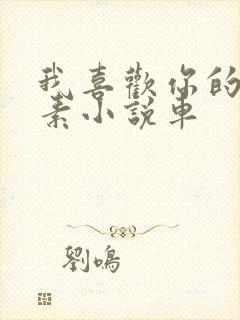 我喜欢你的信息素小说车封面