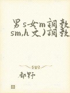 男s女m调教(sm,h文)调教小乳