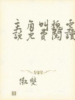 主角叫魏云的小说免费阅读