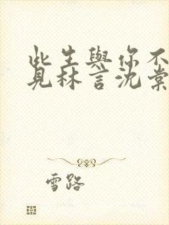 此生与你不再相见林言沈棠封面