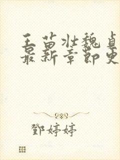 王苗壮魏贞小说最新章节更新时间