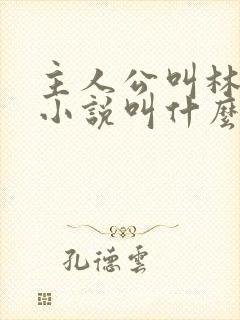 主人公叫林尘的小说叫什么名字封面