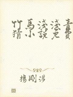 竹马浅浅青梅无猜小说免费阅读