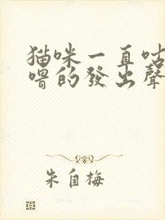 猫咪一直咕噜咕噜的发出声音是怎么了