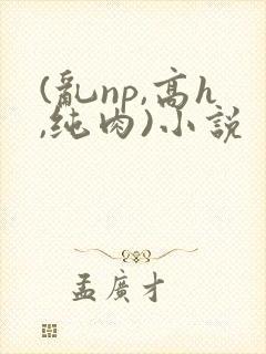 (乱np,高h,纯肉)小说