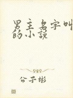 男主名字叫江祈的小说