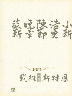 苏晚陈浩小说最新章节更新内容