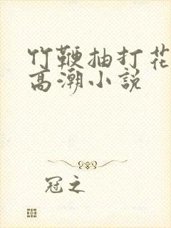 竹鞭抽打花蒂h高潮小说