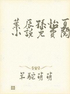 叶辰孙怡夏若雪小说免费阅读全文