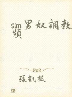 sm男奴调教视频