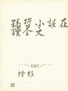 孙哲小说在线阅读全文