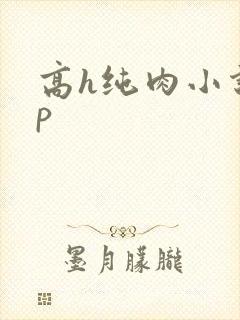 高h纯肉小说np