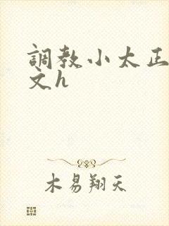 调教小太正黄腐文h