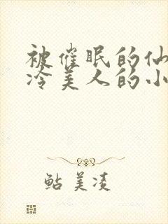 被催眠的仙子高冷美人的小说