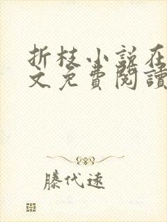 折枝小说在线全文免费阅读无弹窗