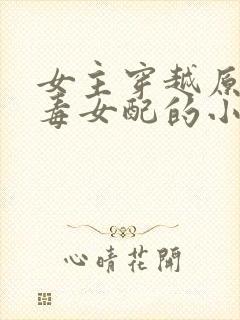 女主穿越原耽恶毒女配的小说