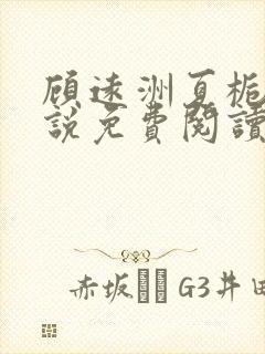 顾远洲夏栀栀小说免费阅读最新章节