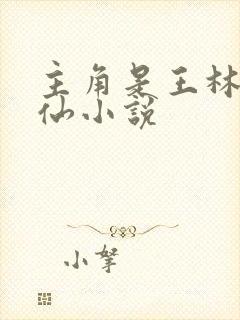 主角是王林的修仙小说