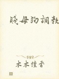 贱母狗调教封面