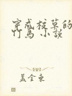 穿成校草的炮灰竹马 小说