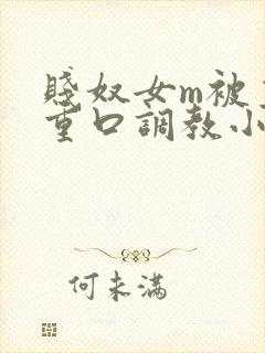 贱奴女m被主人重口调教小说封面