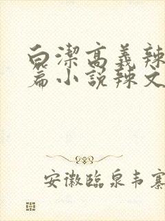 白洁高义辣文短篇小说辣文短篇小说辣文封面