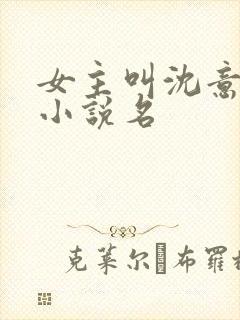 女主叫沈意欢的小说名封面