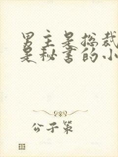 男主是总裁女主是秘书的小说封面