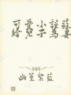 可爱小说苏玛嫁给儿子为妻小说全文