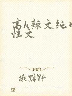 高h辣文纯肉双性文