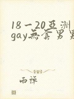 18一20亚洲gay无套男男