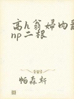 高h翁妇肉乱文np二根